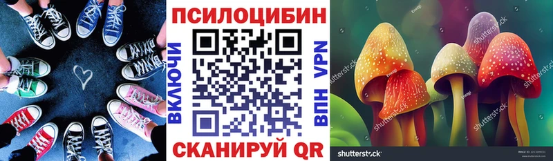 где купить наркотик Малаховка Псилоцибиновые грибы мицелий